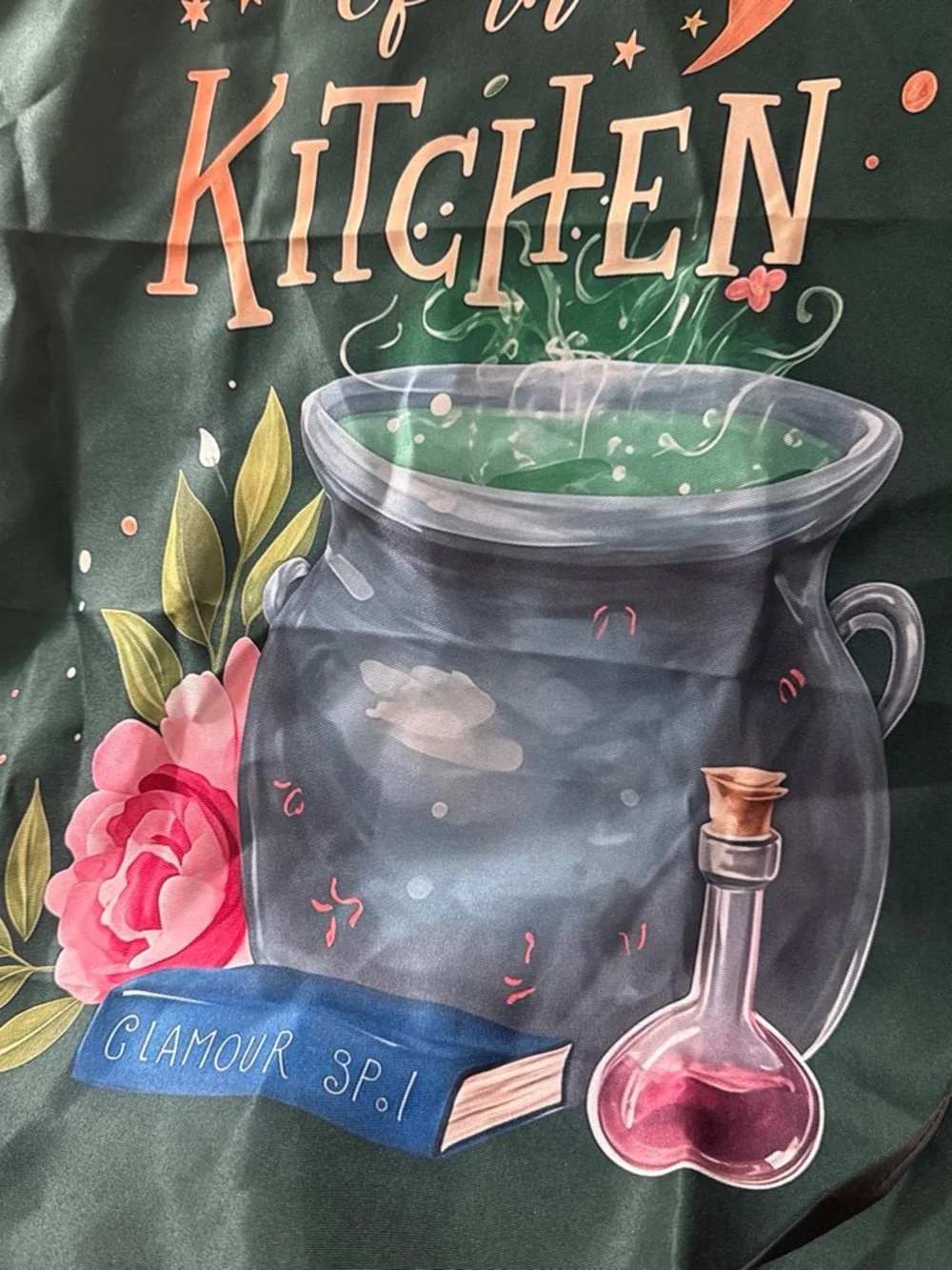 Wicked Witch of the Kitchen Green Decorative Apron